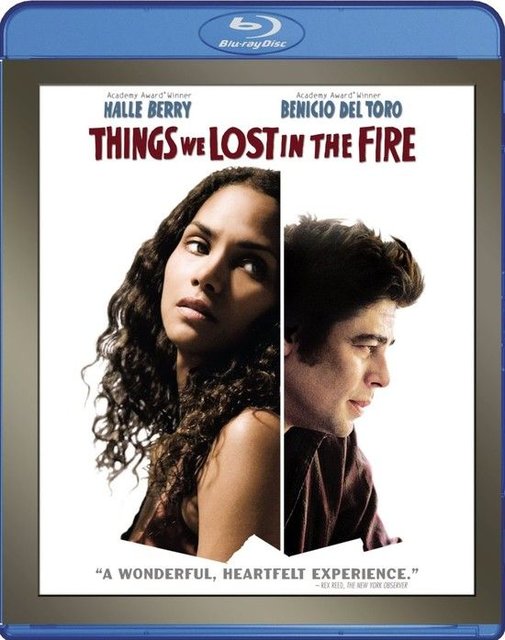 Nos souvenirs brûlés (2007) (Things We Lost in the Fire)