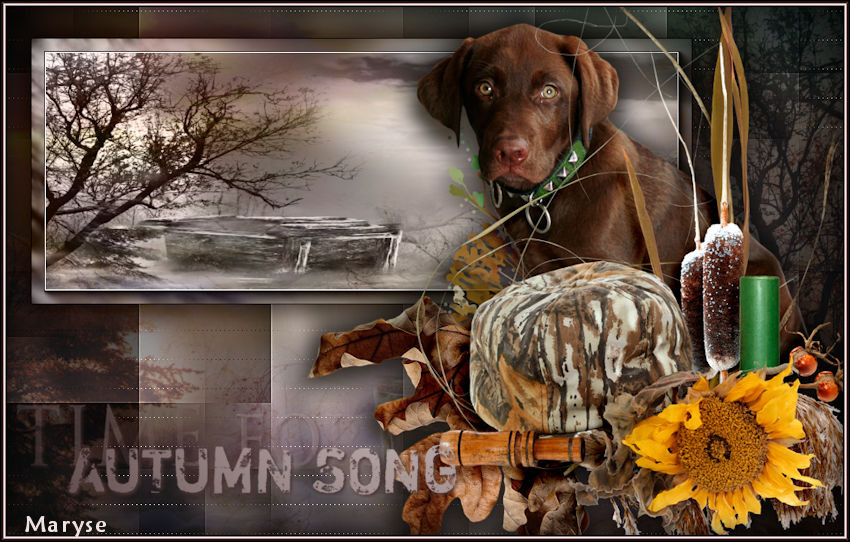Autumn song - Page 2 210715102945241804
